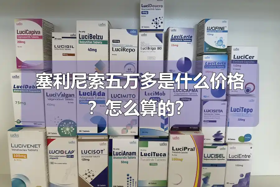 塞利尼索五万多是什么价格?怎么算的?